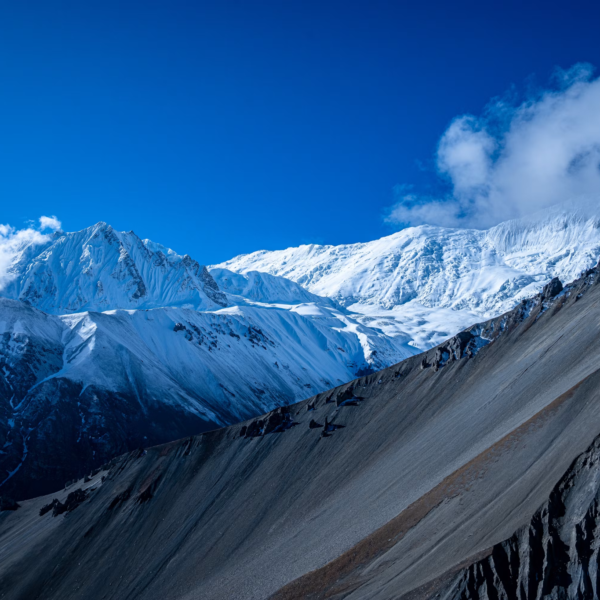 Trekking Agency in Nepal: Complete Guide to Choosing the Right Company for Annapurna Circuit and Annapurna Base Camp Trek