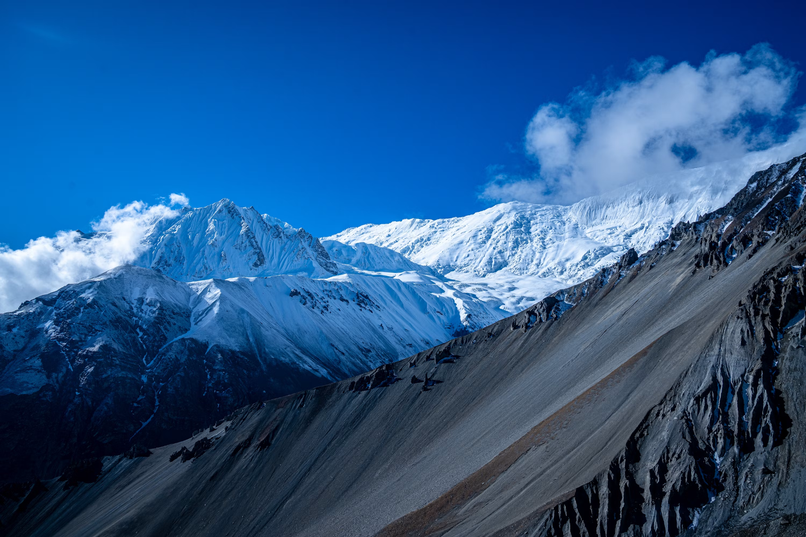 Trekking Agency in Nepal: Complete Guide to Choosing the Right Company for Annapurna Circuit and Annapurna Base Camp Trek