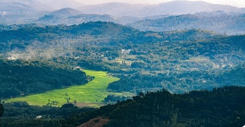 Coorg Solo Trip