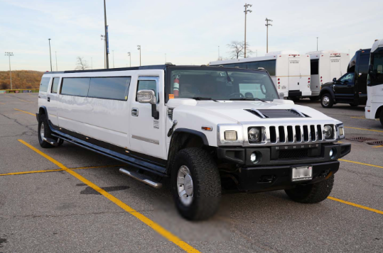 Top Benefits of Hiring a Toronto Limousine for Group Transportation