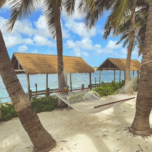 best Aruba excursions