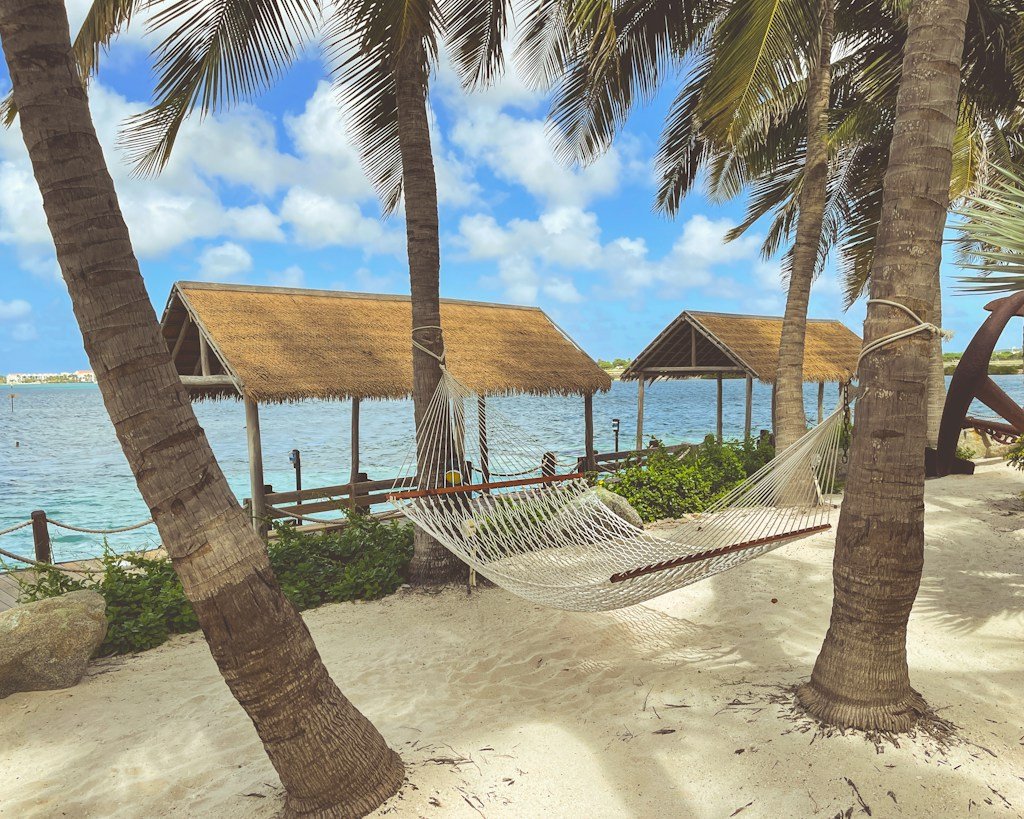 best Aruba excursions