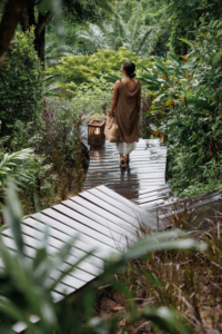 Beyond Cheow Lan Lake: Discover the Rainforest Side of Khao Sok