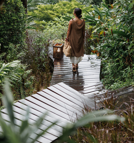Beyond Cheow Lan Lake: Discover the Rainforest Side of Khao Sok