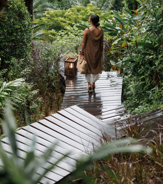 Beyond Cheow Lan Lake: Discover the Rainforest Side of Khao Sok