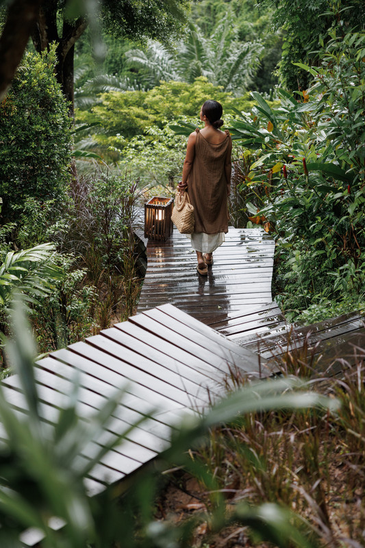 Beyond Cheow Lan Lake: Discover the Rainforest Side of Khao Sok
